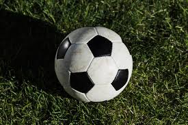 数据分析研究者使用案例